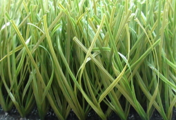 运动场人造草坪-MT-J-50mm双色带茎单丝